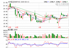 松遼汽車巨資跨界并購美景恐落空 華誼兄弟“丟了西瓜”？