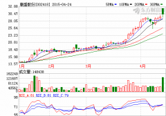 中植力挺康盛股份“發兵”新能源車