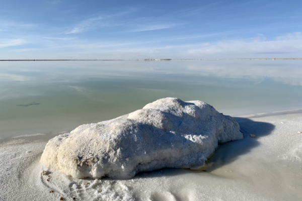 鋰礦如金礦！近10家鋰企凈利呈倍數增長，掌門人集體沖擊富豪榜