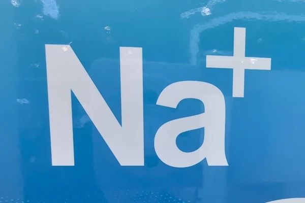 20億元！17條產(chǎn)線！莫鈉技術(shù)內(nèi)蒙古鈉電池產(chǎn)業(yè)項目備案通過