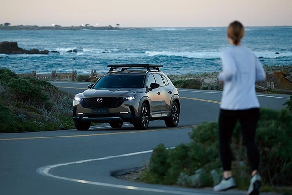 一跨國企業擬在華投入近96億 用于發展新能源汽車產業