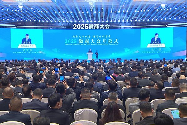 34億!年產3萬噸!這一新型硅碳負極材料項目落戶安徽