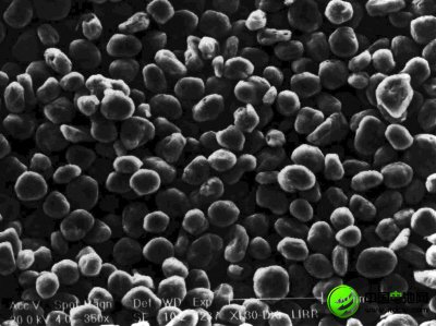 打造中國(guó)“石墨產(chǎn)業(yè)之都”的領(lǐng)軍人