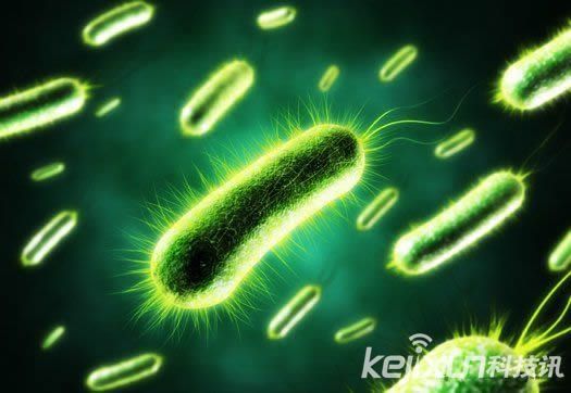 日本研發(fā)微生物燃料電池技術 或為可再生能源
