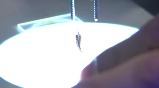 這6項新電池技術或改變手機汽車產業