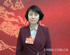 楊艷:進(jìn)一步加大對(duì)鎳鈷資源綜合利用的支持力度