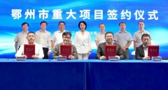 【一周項目動態】聚焦上半年正負極材料項目動態分析！格林美/中偉股份/石大勝華/LG化學收獲長單