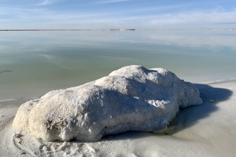 鋰鹽價(jià)格頻頻下行，為何“碳”“氫”表現(xiàn)不同命運(yùn)？