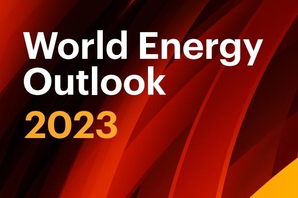 IEA：到2030年全球電動汽車數量將是現在的近10倍（附報告全文）