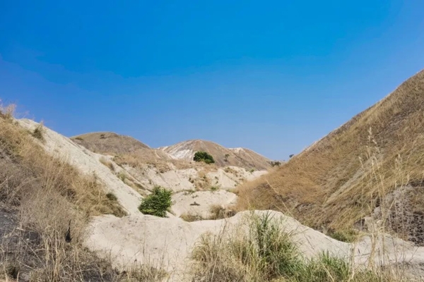 紫金礦業2023年預盈約211億元 多個鋰礦項目已投產