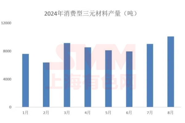 量價背離！2024下半年三元小動力市場分析