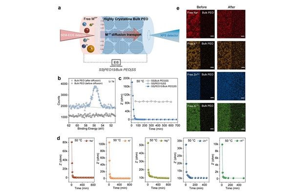提升電池安全等性能!我國聚合物固態電解質研究獲進展