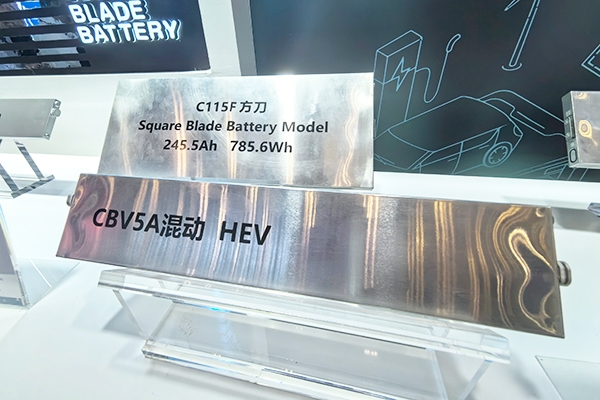 2024年國內(nèi)動力電池TOP15:寧德時代/比亞迪鐵鋰裝車均超100GWh