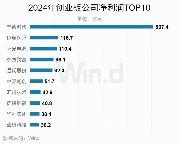 2024年創業板歸母凈利潤TOP10公司 2024年創業板歸母凈利潤TOP10公司
