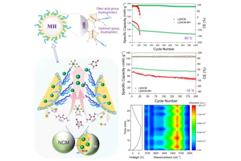 提升寬溫域性能！中科院鎂基鋰電池研究獲新進展