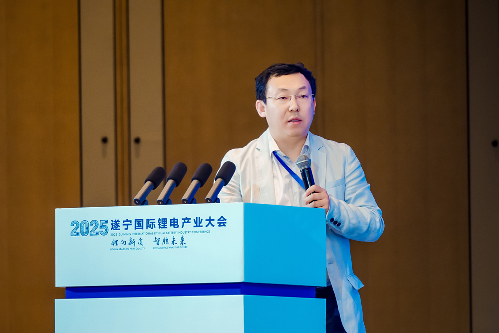 俄羅斯工程院院士、烏克蘭工程院院士、安徽大學大數據學院執行院長 金虎林