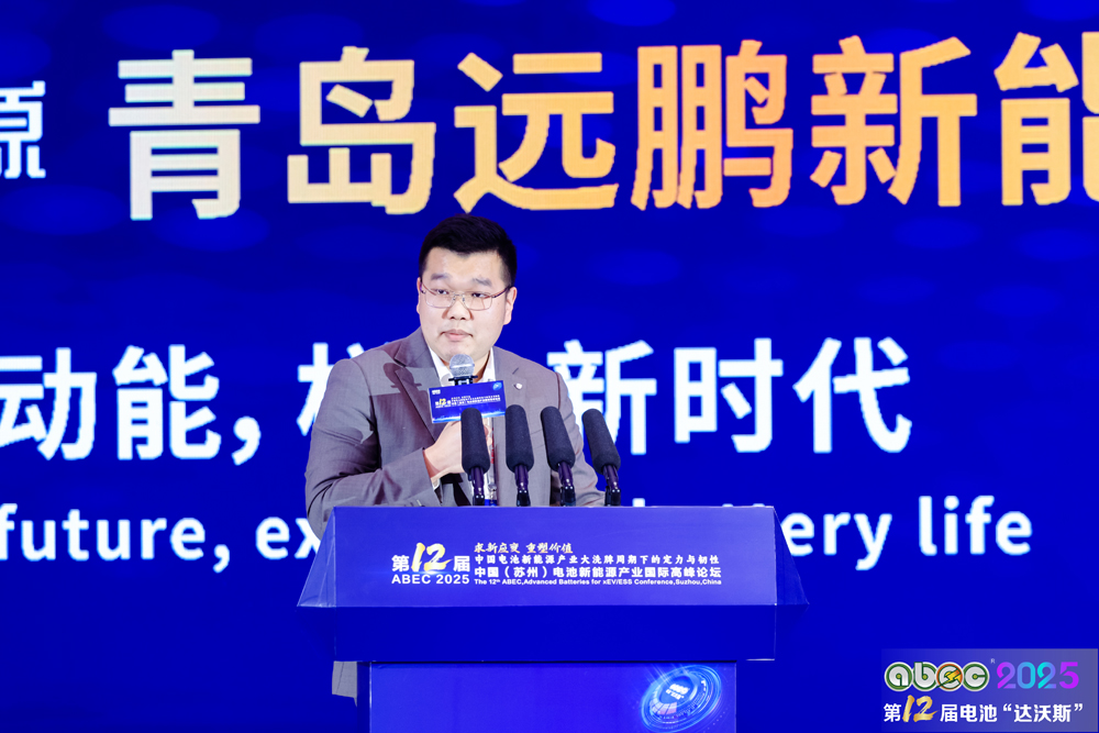 惠州億緯鋰能股份有限公司戰略研究部總監張帆 惠州億緯鋰能股份有限公司戰略研究部總監張帆