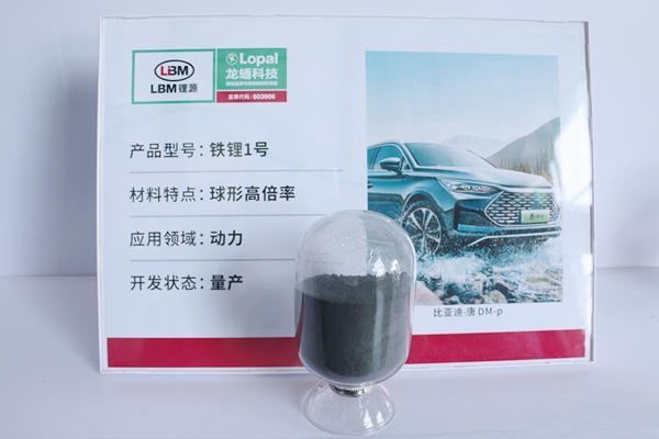 年內已拿下逾675億元訂單!龍蟠科技20億募資擴產申請獲受理