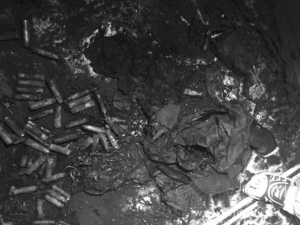 電動車電池充電中爆炸 書房著火被燒