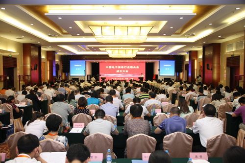 中國電子信息行業聯合會成立 工信部部長苗圩講話