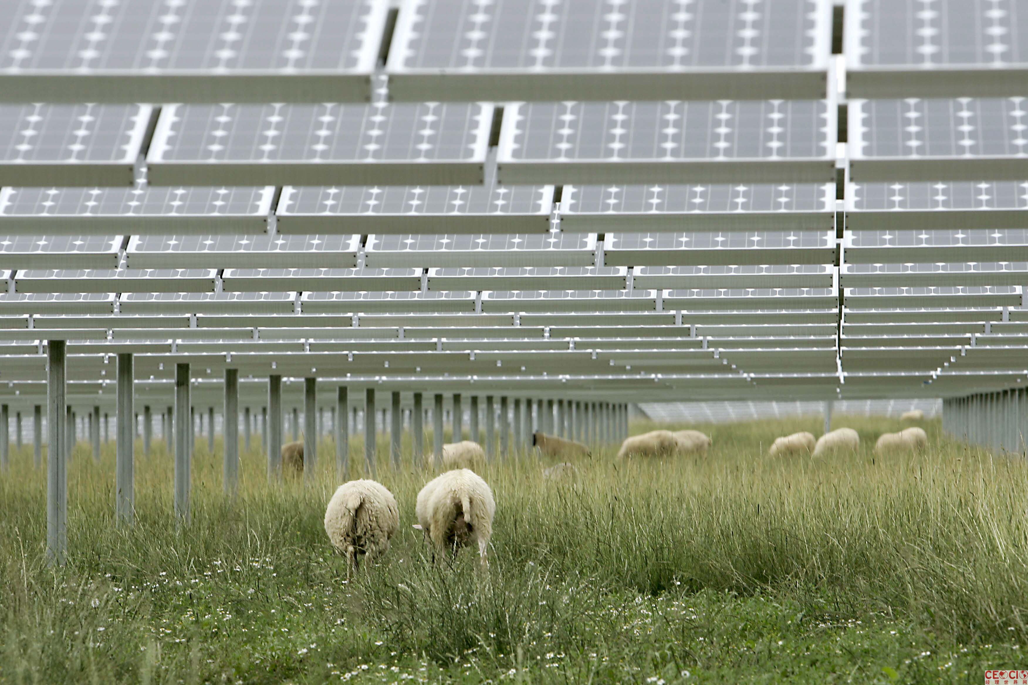 能源局扶持新政發布 光伏行業迎集中爆發