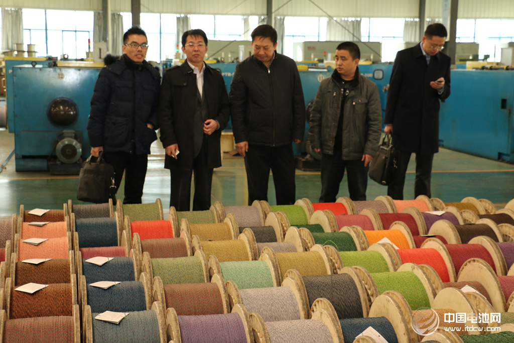 中國電池網率團參觀考察安徽天康集團鋰電新能源