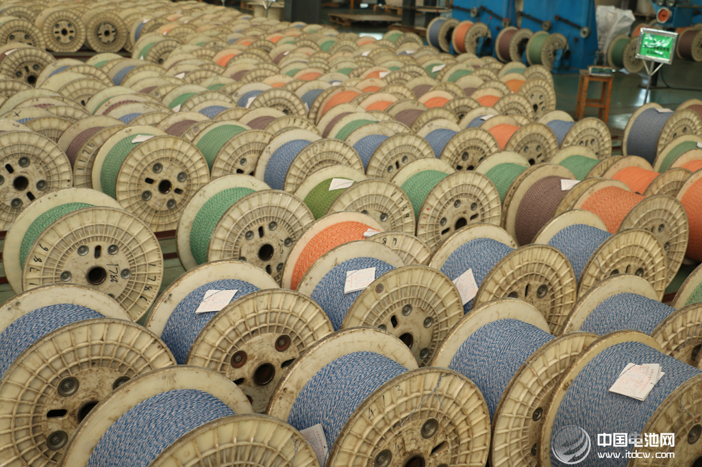 中國電池網率團參觀考察安徽天康集團鋰電新能源