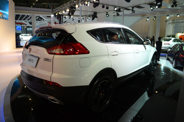 青年蓮花 青年蓮花