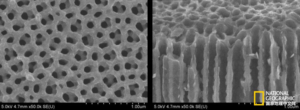 微型電池將帶來(lái)綠色能源革命