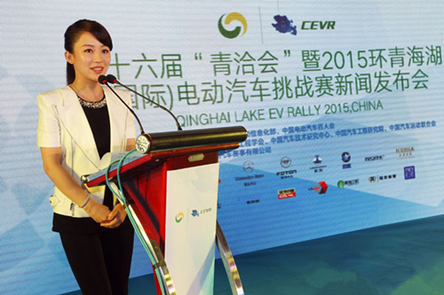 全球新能源行業(yè)及專家“論鋰”青海 共商產業(yè)走向