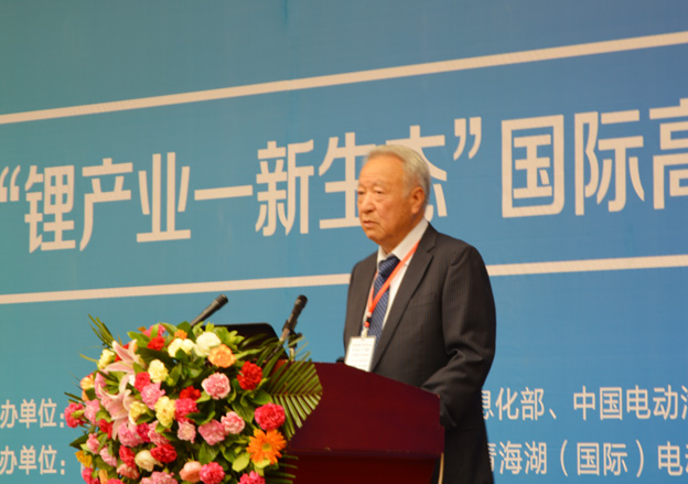 全國清潔汽車行動協調小組專家組組長王秉剛