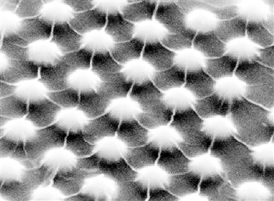 拉伸二硫化鉬晶體造出能隙可變半導體 可用研發太陽能電池
