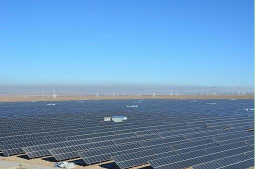 全國最大單體農光互補光伏發電站并網發電