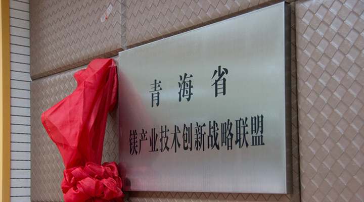 青海成立鋰鎂產業技術創新戰略聯盟 提升競爭力