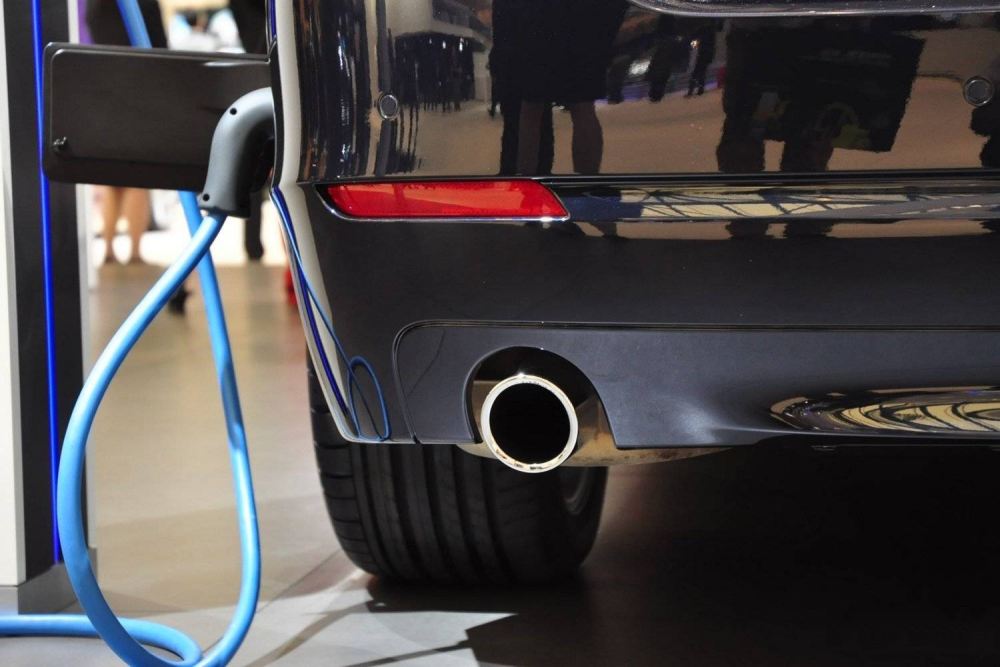 政府補(bǔ)貼逾百億元 誰(shuí)能從新能源車(chē)賺錢(qián)？