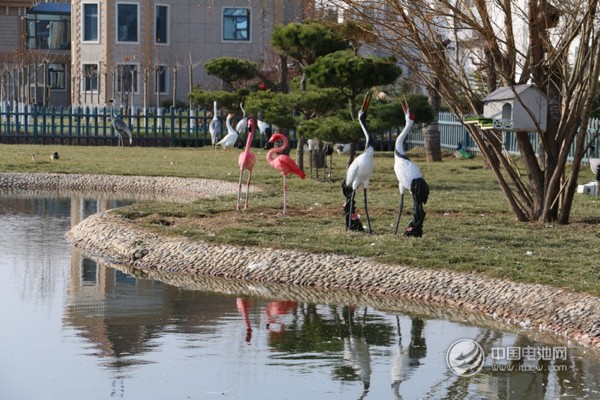 海德新能汽車廠區萌寵