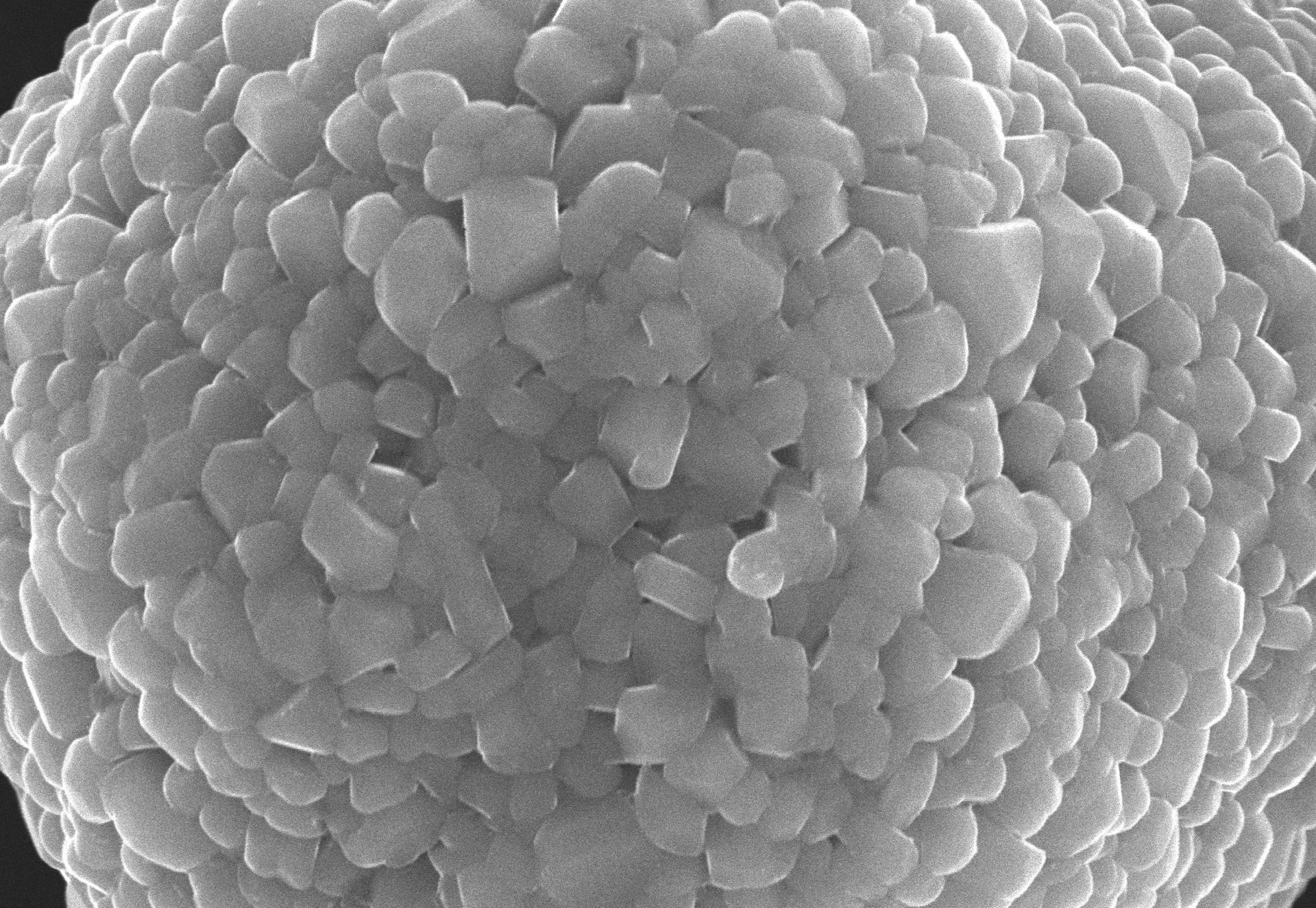 總投資2.12億元 英德擬擴(kuò)建年產(chǎn)1萬噸鋰電池正極材料