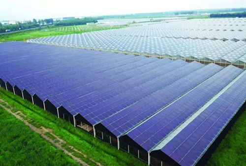 港股光伏板塊中報期 有望獲資金青睞