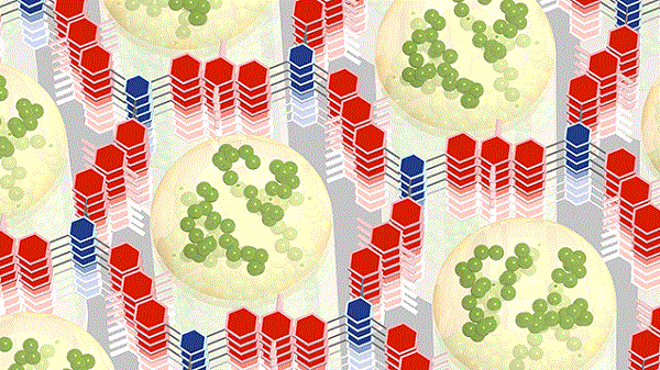 研究人員開(kāi)發(fā)出儲(chǔ)能10倍 充電速度也超快的新型電池材料