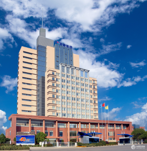 安徽天康（集團）股份有限公司