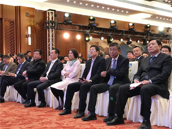 董明珠攜萬達京東等優秀資本入股珠海銀隆 共同布局新能源發展