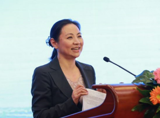 銀隆何以獲得董明珠與王健林等超強陣容30億投資？