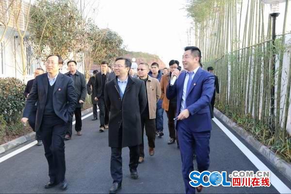 王傳福參觀廣安（深圳）產業園