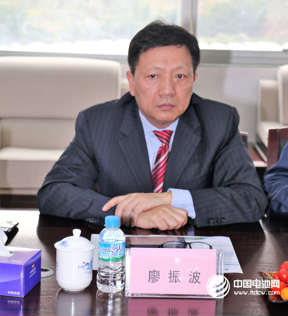 比克電池戰(zhàn)略規(guī)劃副總裁廖振波