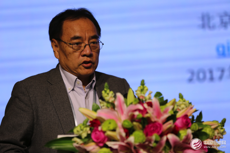 北京大學教授、鋰電“達沃斯”學委會主席其魯