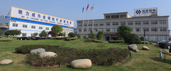 華友鈷業副總談與韓企60億合資:借此進入高端新能源車市場 華友鈷業副總談與韓企60億合資:借此進入高端新能源車市場