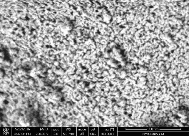 【獨(dú)家】上海恒侖研發(fā)出生物彈性納米氧化亞硅負(fù)極材料 成本低 可量產(chǎn)