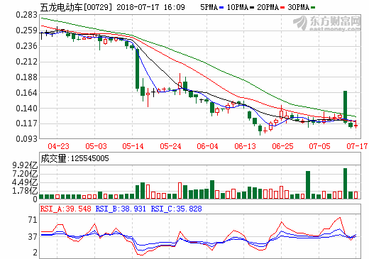 五龍電動(dòng)車(chē)