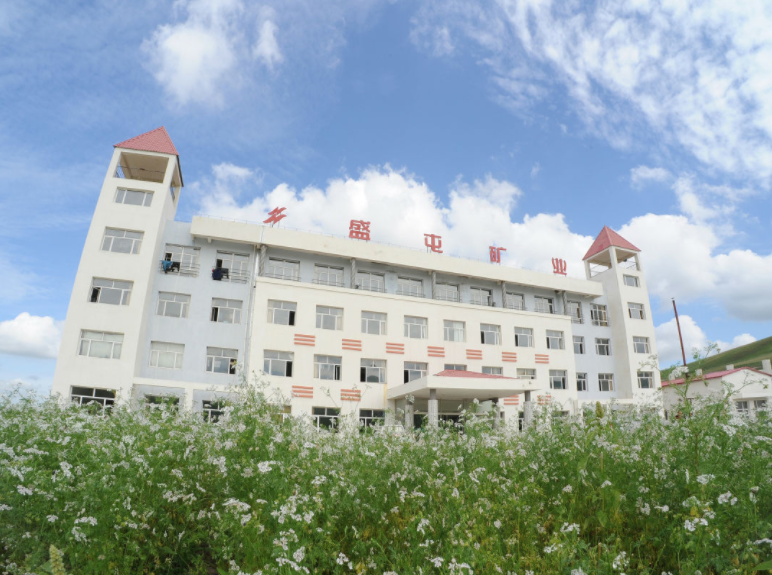 盛屯礦業(yè) 盛屯礦業(yè)