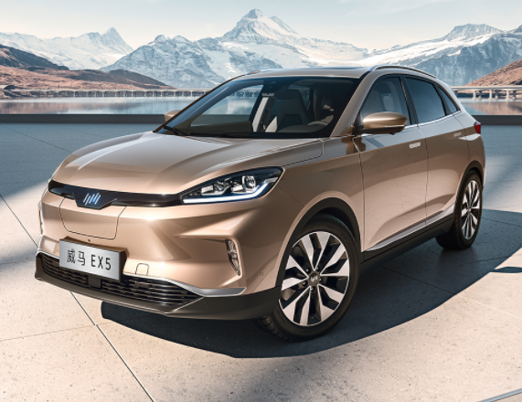 總投資166億元！威馬汽車年產15GWh動力電池項目開工